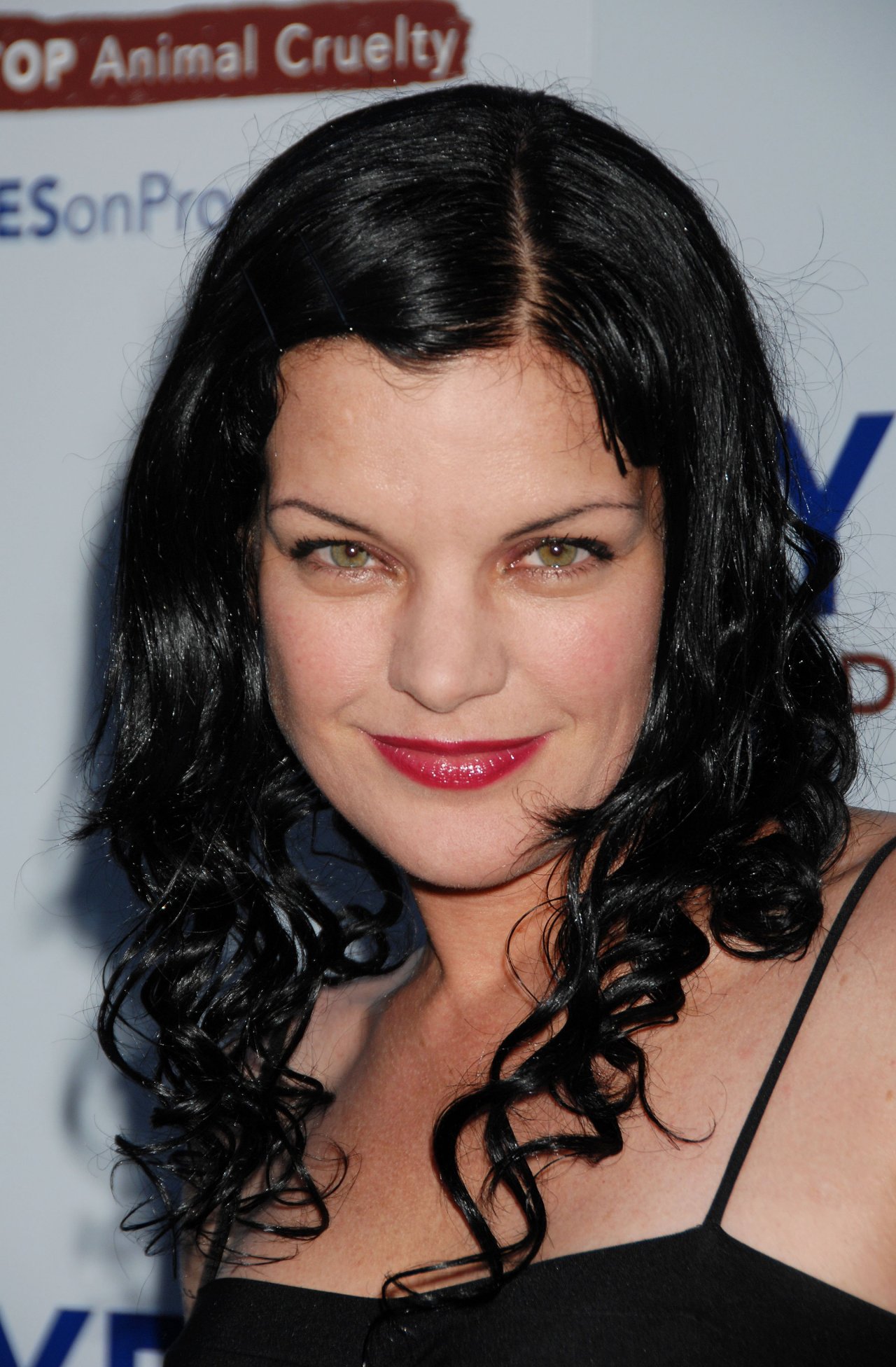 Поли Перретт (Pauley Perrette)