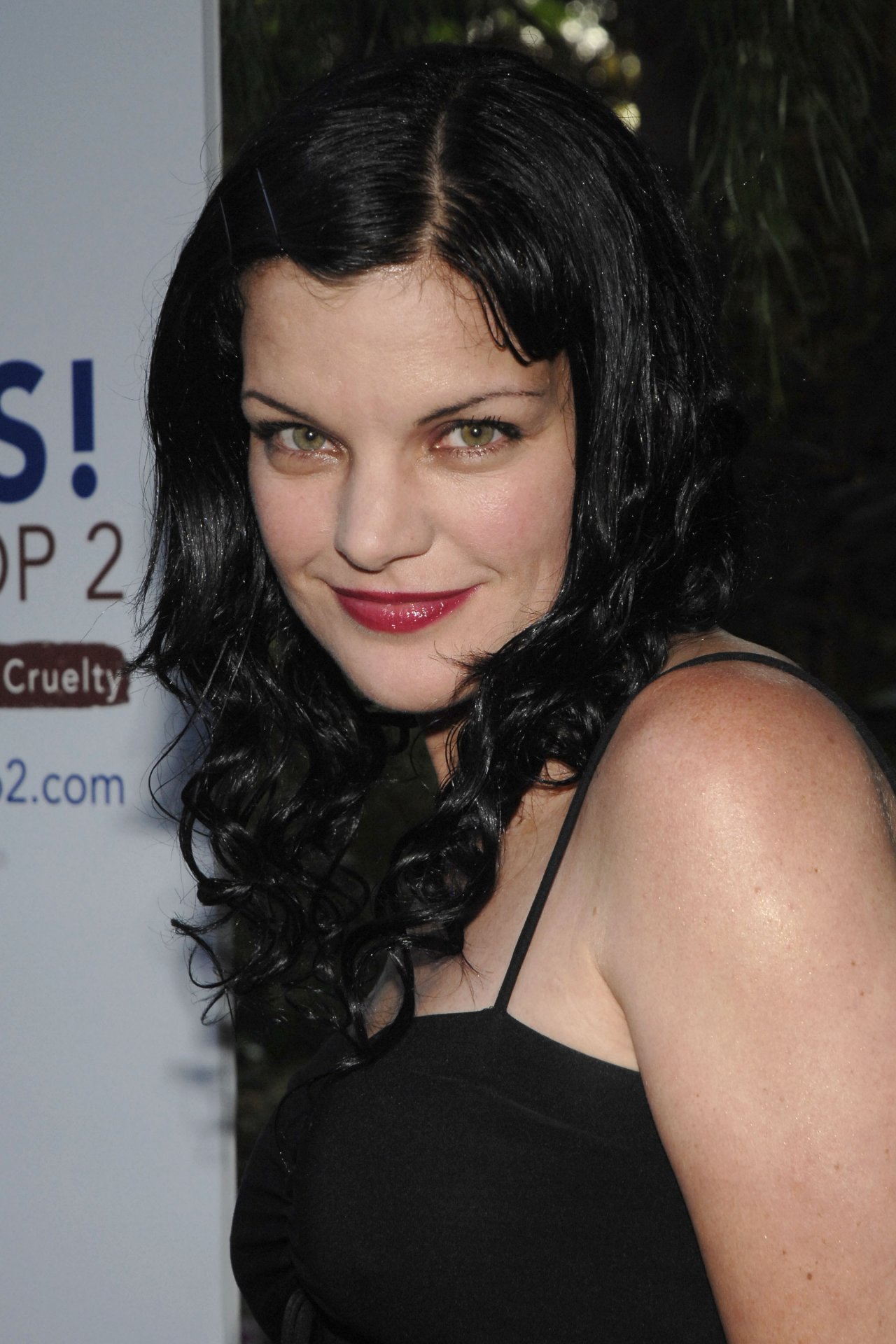 Поли Перретт (Pauley Perrette)