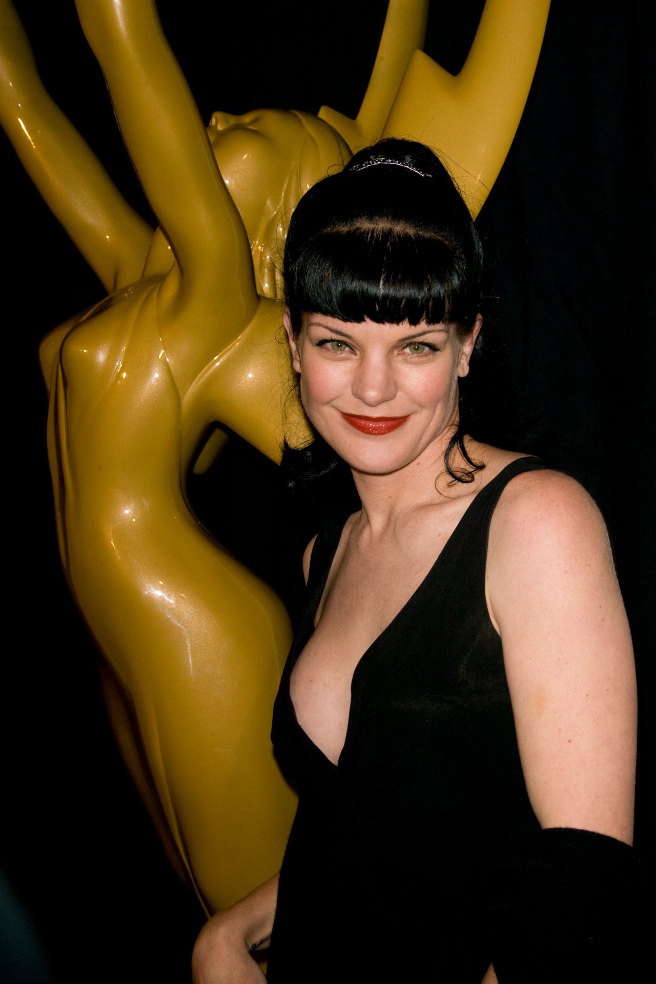 Поли Перретт (Pauley Perrette)