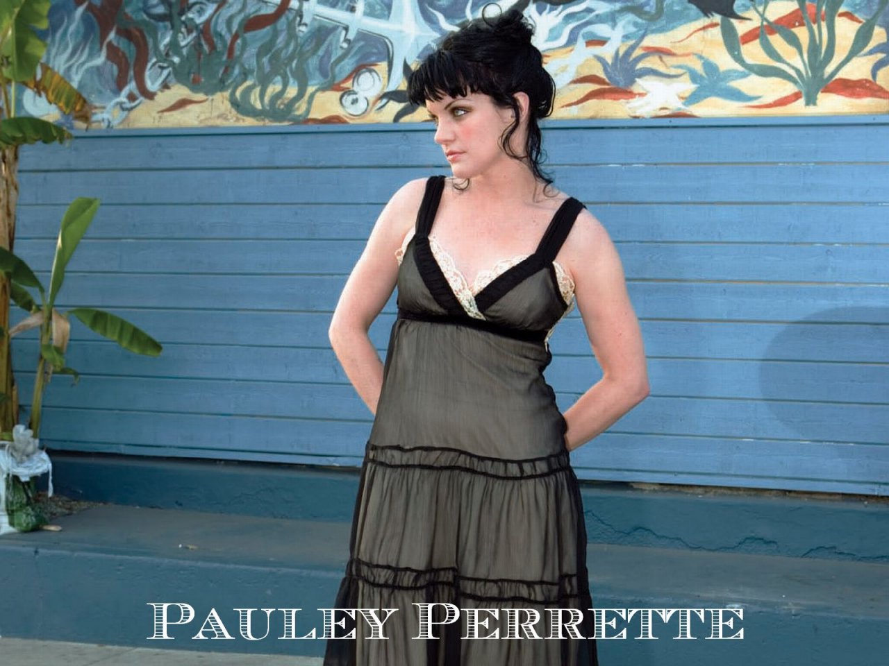 Поли Перретт (Pauley Perrette)