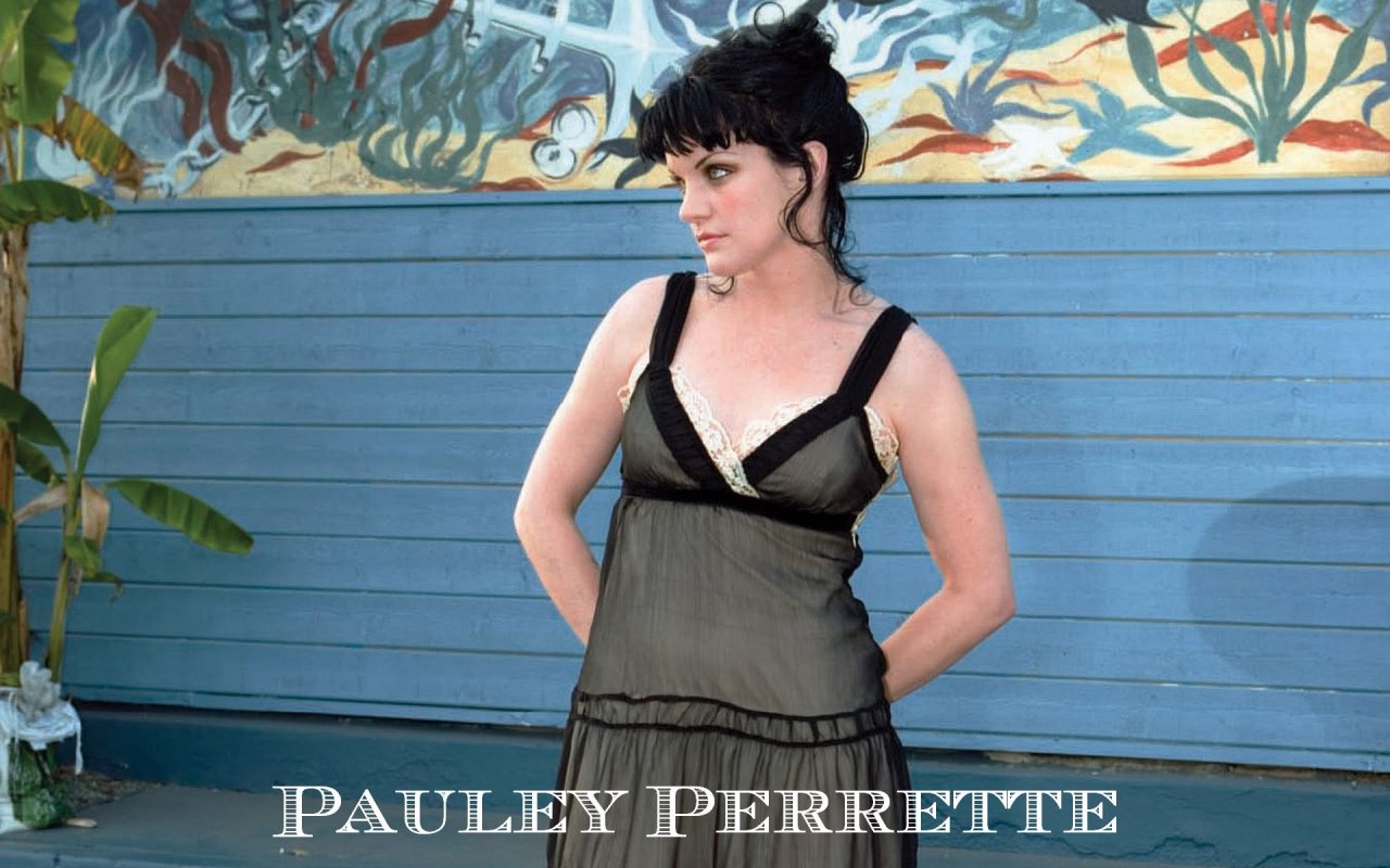 Поли Перретт (Pauley Perrette)