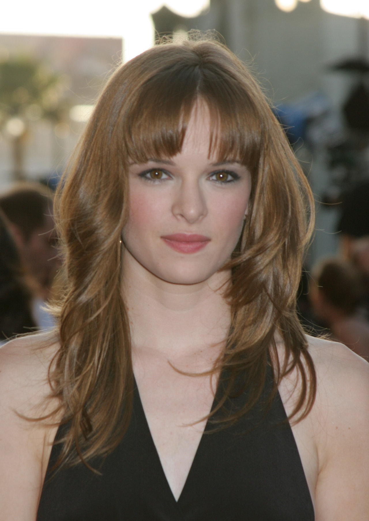 Даниэль Панабейкер (Даниэль Panabaker). 