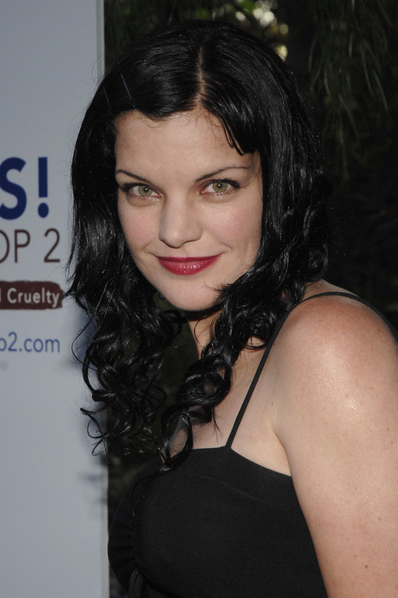 Поли Перретт (Pauley Perrette)